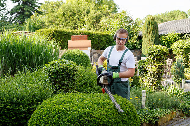 Landscape Design and Installation in Antioch, IL